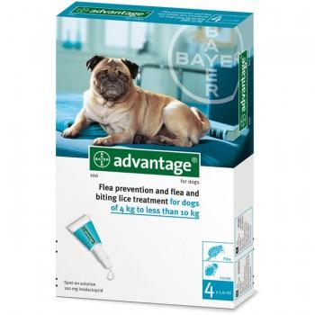 ADVANTAGE PERROS 4 A 10KG 1 PIPETA