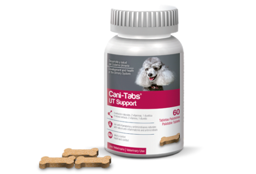 CANI TABS UT SUPPORT FRASCO X 60 TAB