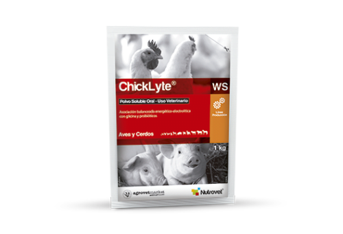 CHICKLYTE WS
