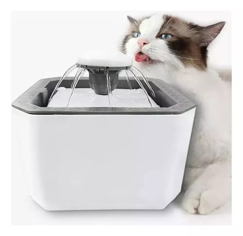 FUENTE DE AGUA HUELLA BLANCA