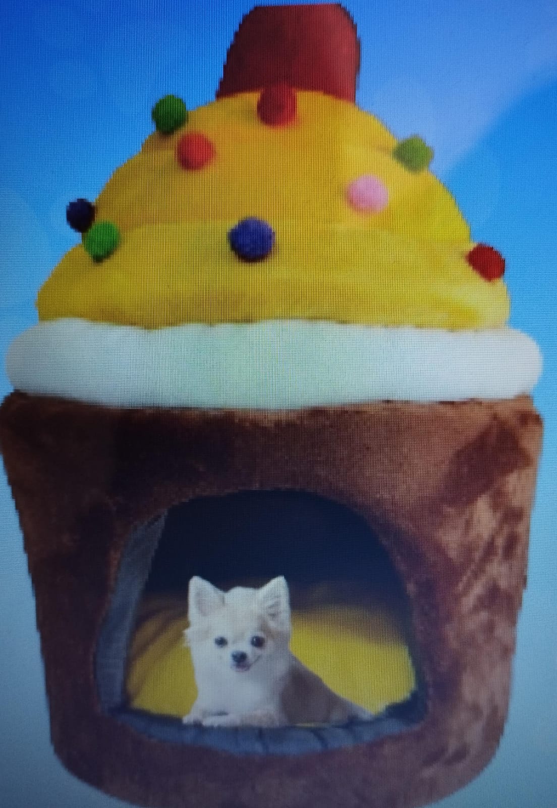 igl-cup-cake-ijmr-cl-nica-veterinaria