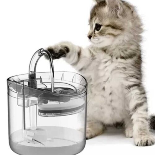 FUENTE DE AGUA TRANSPARENTE