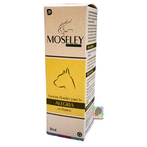 MOSELEY ESENCIA FLORAL ORAL