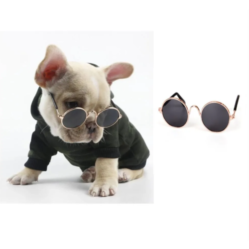 GAFAS PERROS Y GATOS PEQUEÑOS