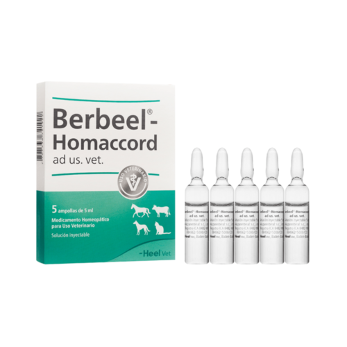 BERBEEL VET AMPOLLAS X 5 HEEL