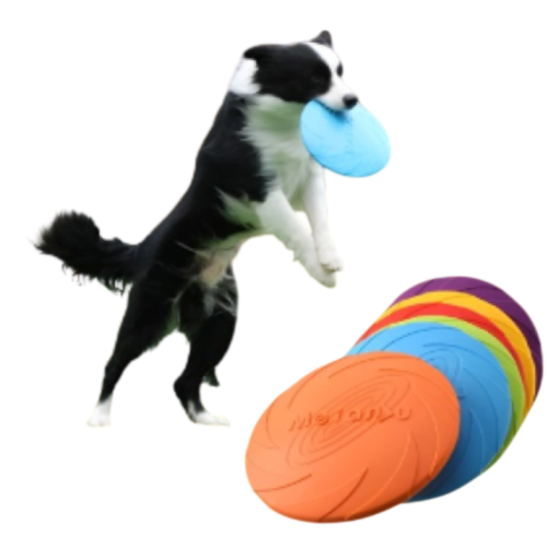 FRISBEE PARA PERROS